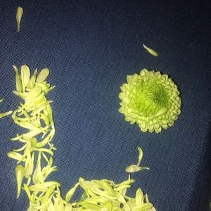 Meet your Posher, Wilka